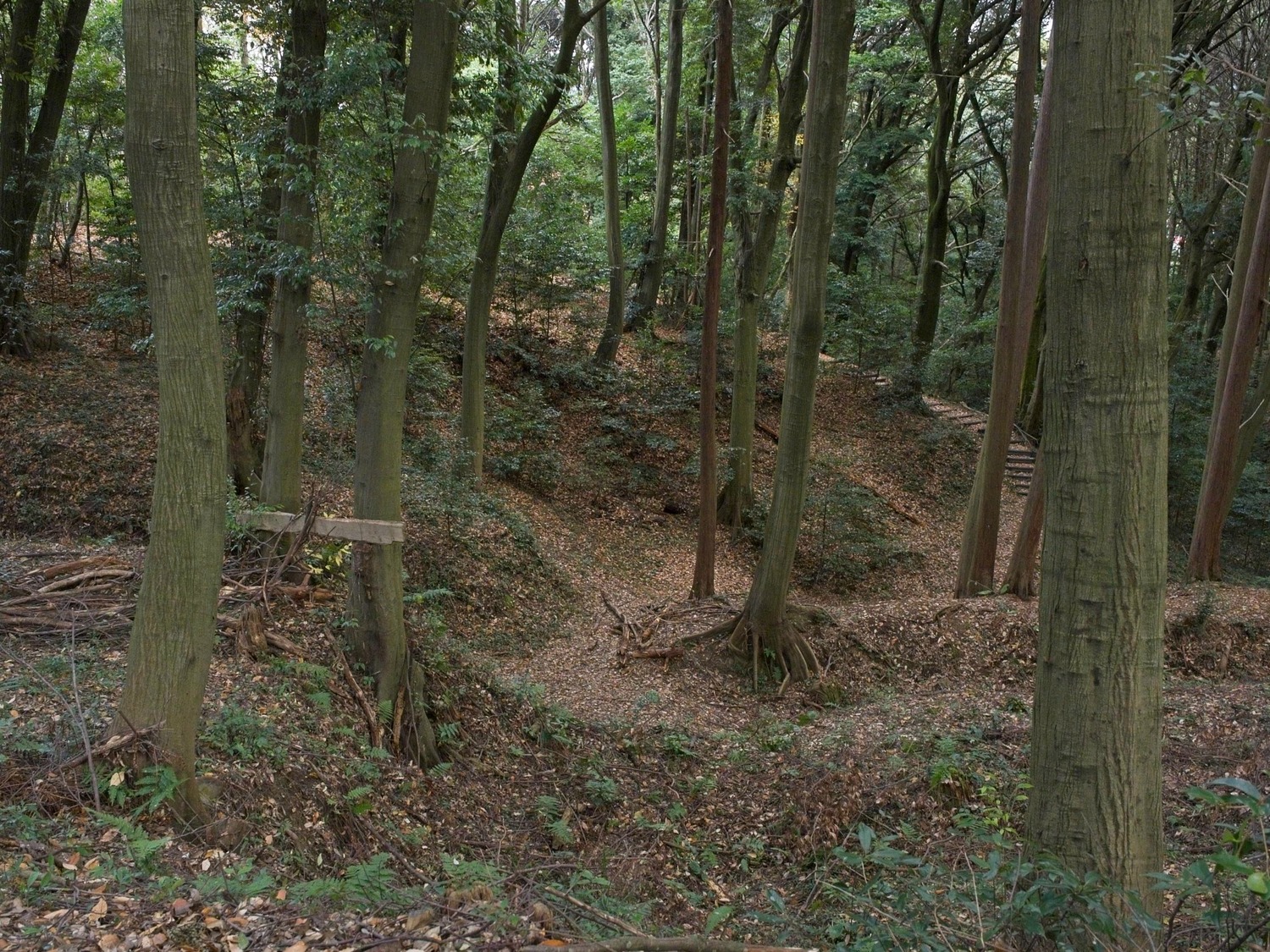 Eboshigata32.jpg