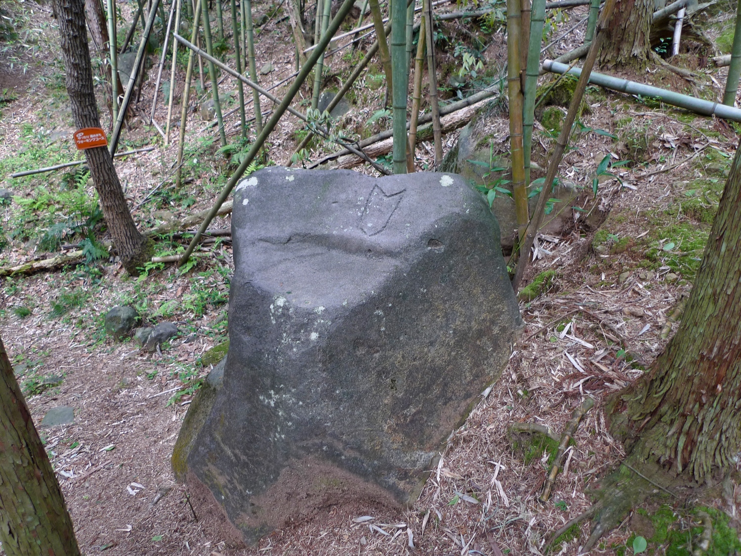 Usami nakoyama quarry1.jpg