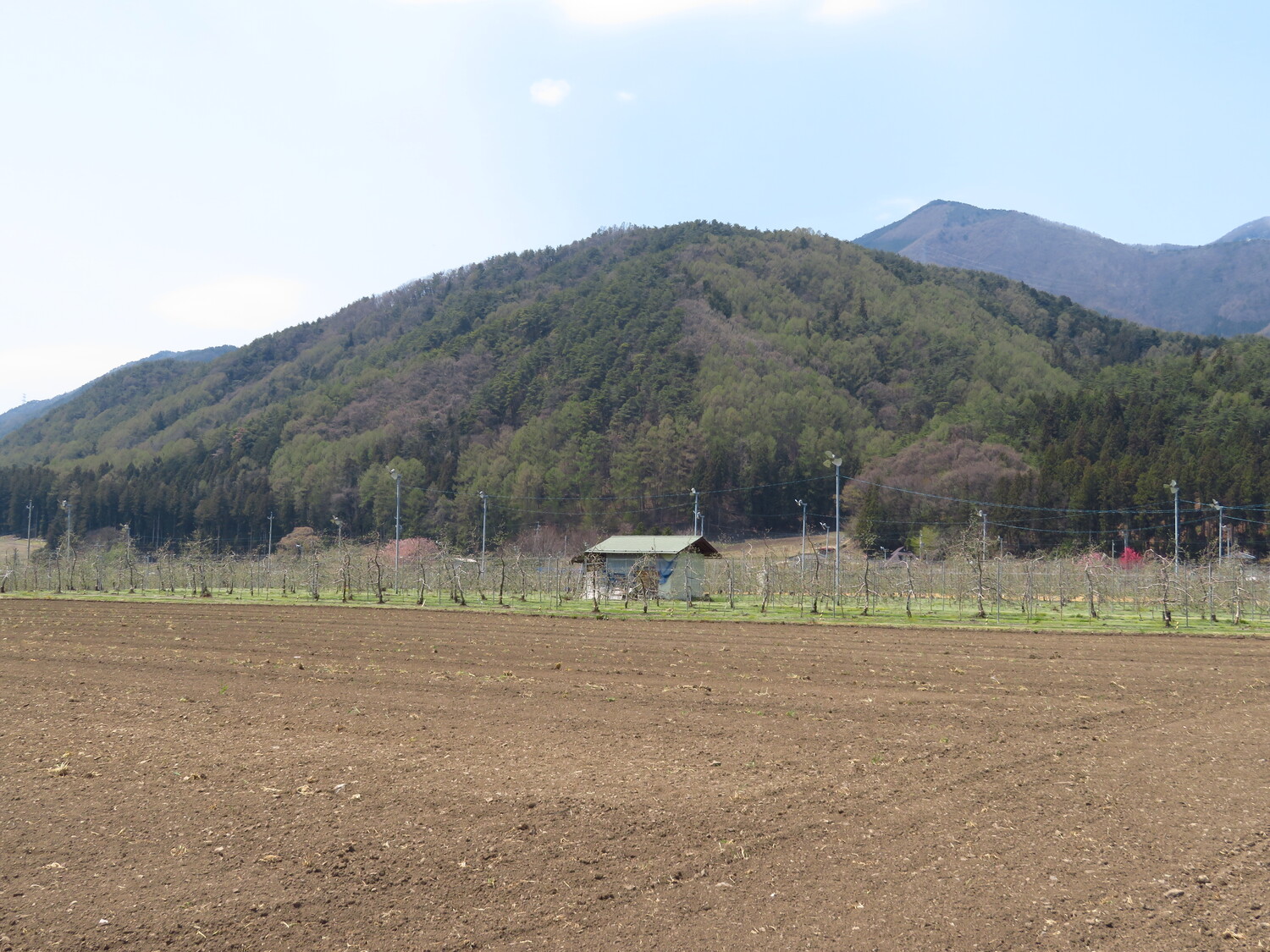AzumiNishimakijou (8).JPG