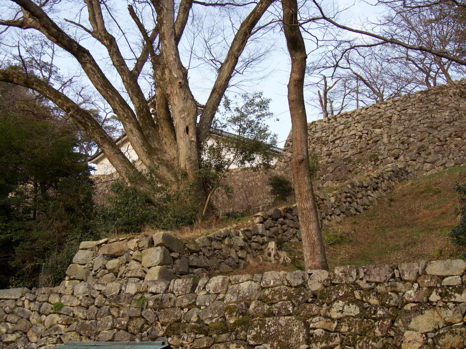 Hikone118.jpg