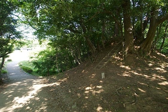 File:Usui20.jpg
