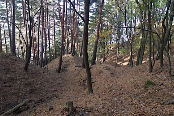 File:Haibara12.jpg