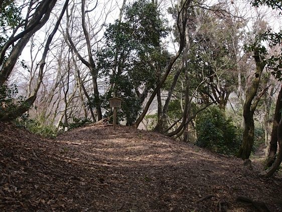 File:Odani29.jpg