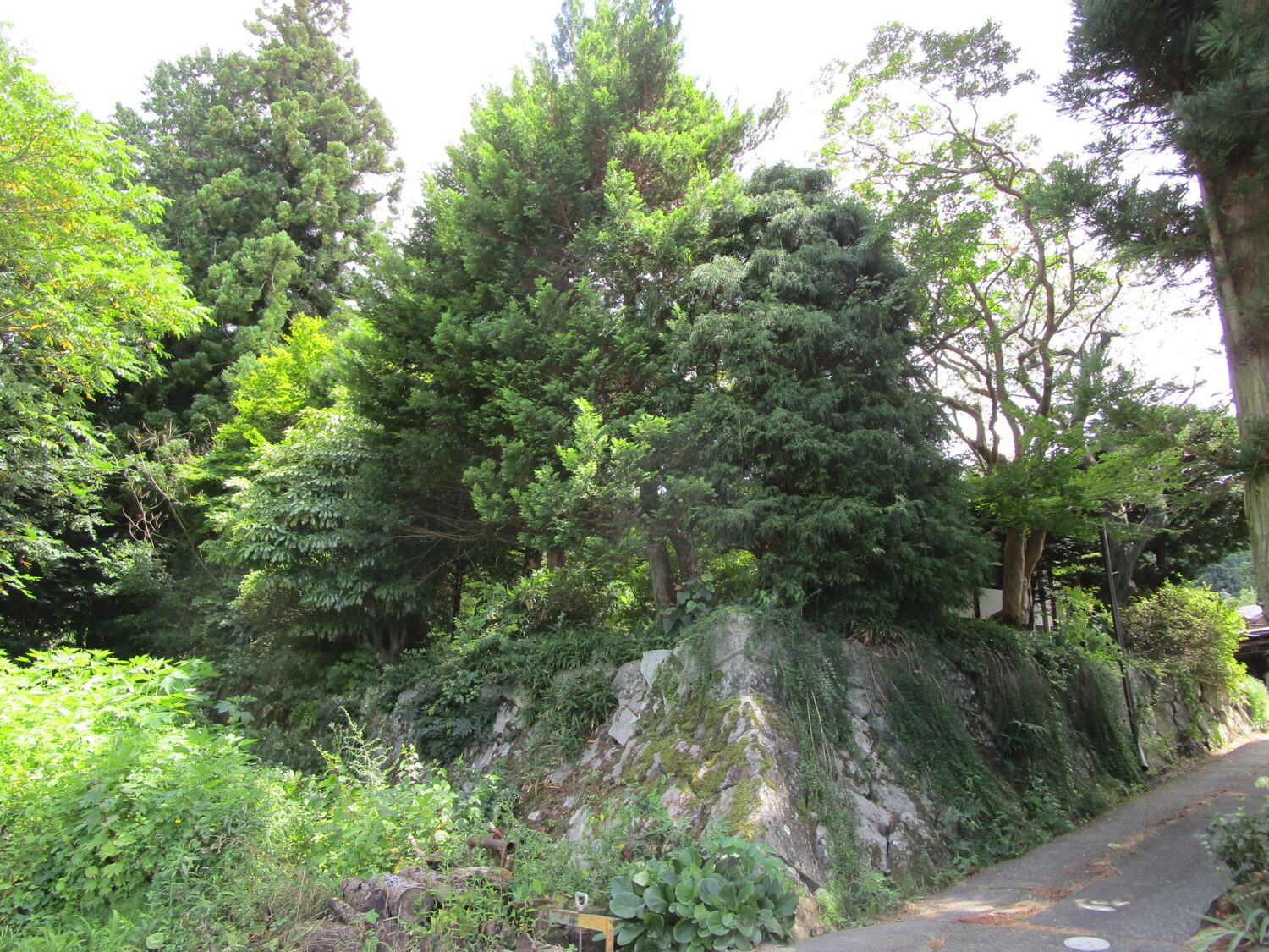 SengokuUtanosukeYakata01.JPG
