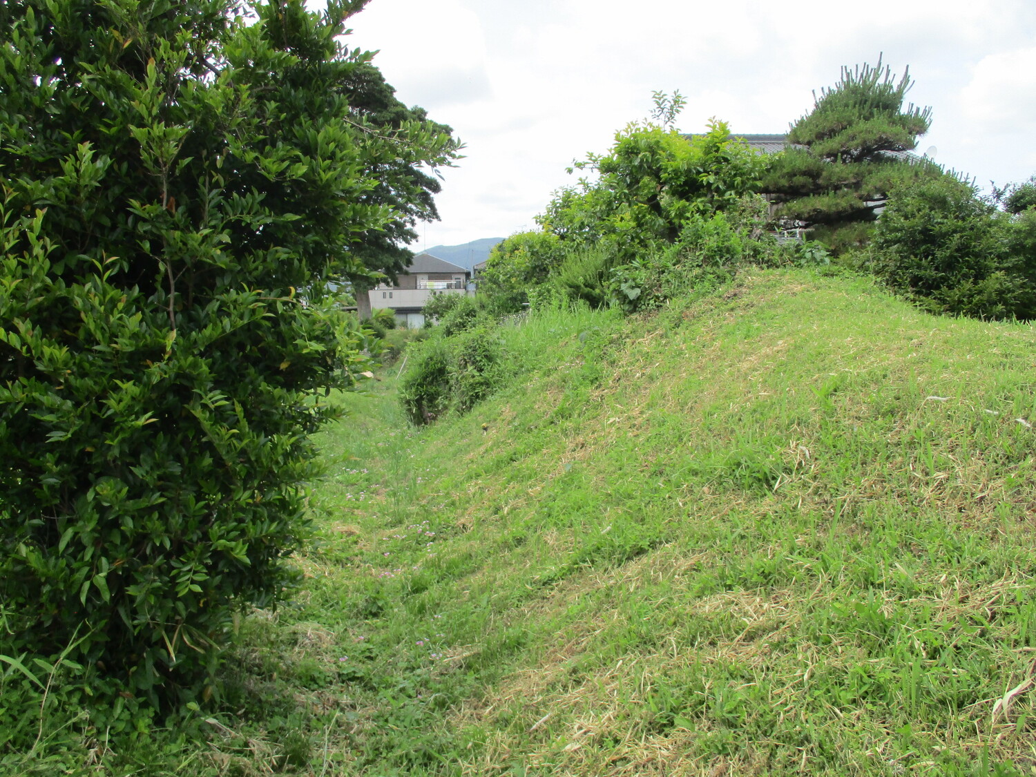 WakabayashiYashiki (3).JPG