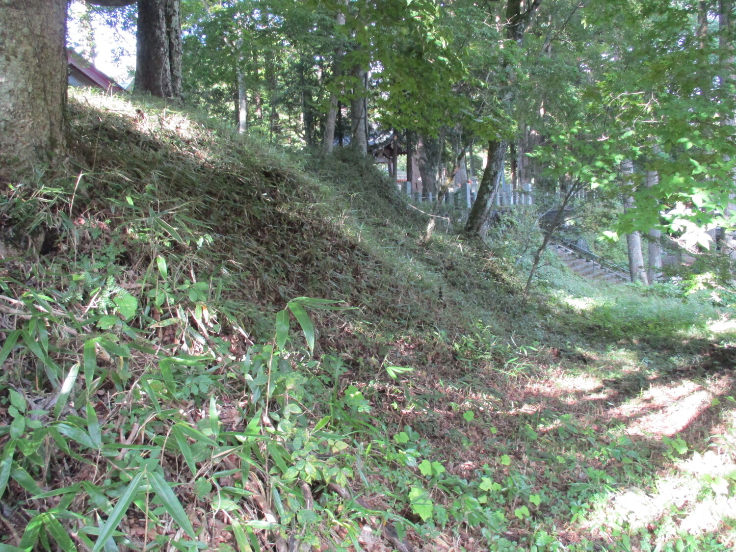 KaiYamanakaYakata (14).JPG