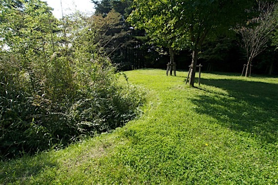File:Sasao3.jpg
