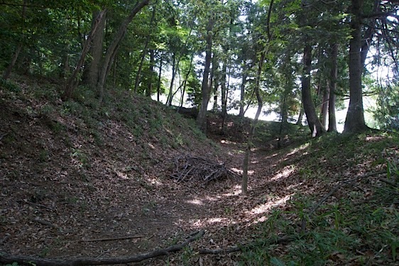 File:Imai3.jpg