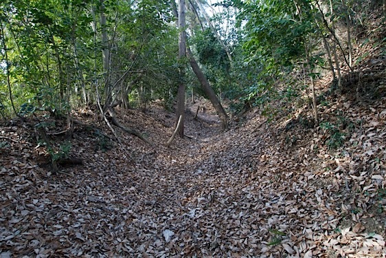 File:Koshigoe8.jpg