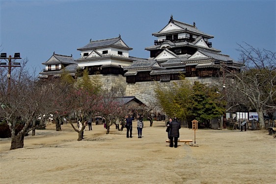 Matsuyama15.jpg