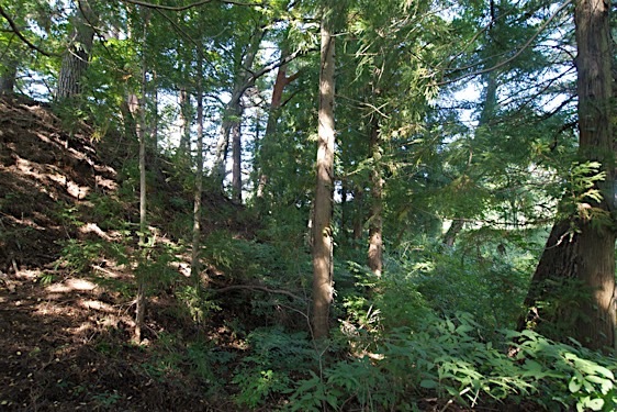 File:Sasao5.jpg