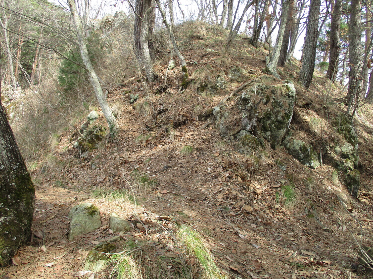 Soudaidejou (6).JPG