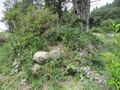 Thumbnail for version as of 20:22, 19 May 2024