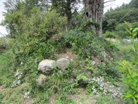 AzumiTonomuraYakata (1).jpg
