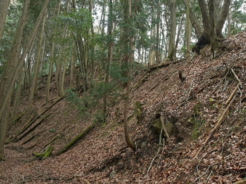 File:Goryu56.jpg