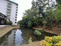 Himejimiddlemoat24.jpg