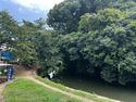 Himejimiddlemoat35.jpg