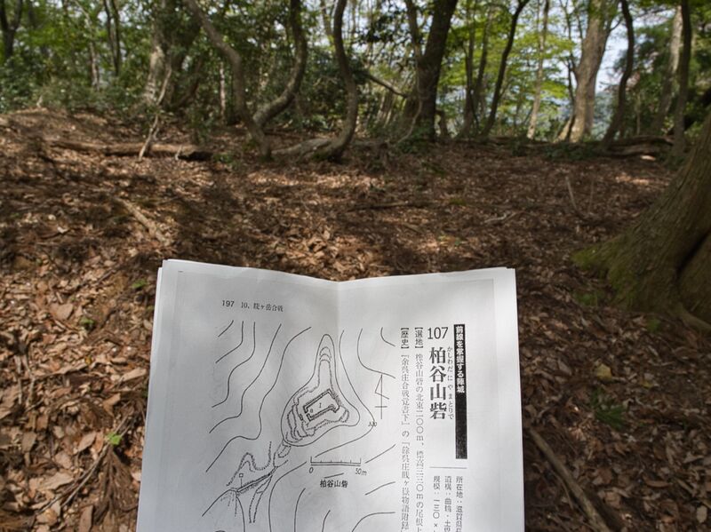 File:Kashiwadaniyama9.jpg
