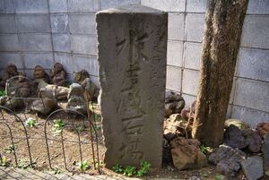 Maruyama3.jpg
