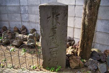 Maruyama3.jpg