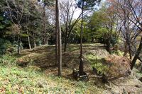 Matsuyamagunma8.jpg