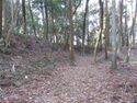 MinamiSakaidejou (2).JPG