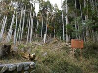 Nakaokyoto31.jpg