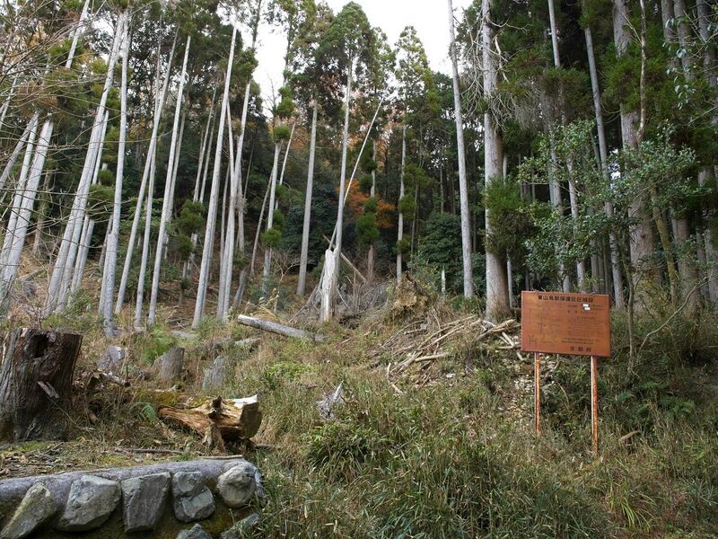 File:Nakaokyoto31.jpg