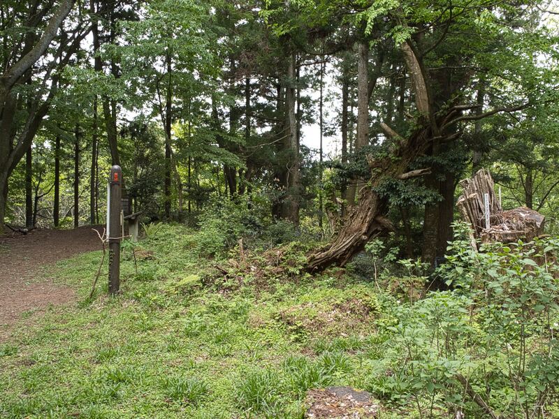 File:Ooiwayama8.jpg
