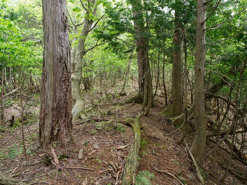 File:Tabeyama7.jpg
