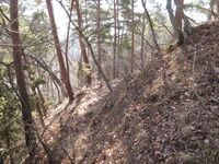 ChiisagataKemijou (7).JPG