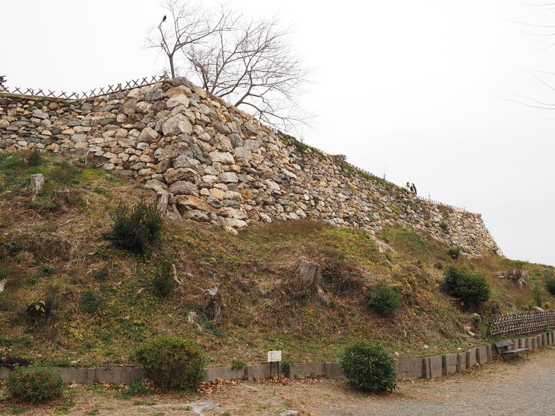 File:Hamamatsu36.jpg