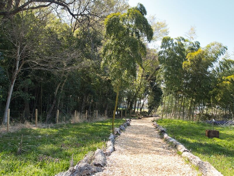 File:Inayashiki6.jpg