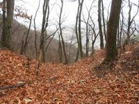 SarashinaOsakajou (5).JPG