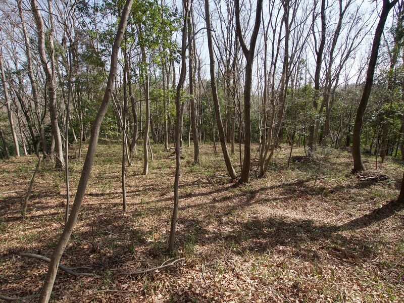 File:Takiyama17.jpg