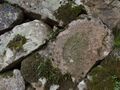Thumbnail for version as of 22:38, 13 June 2024