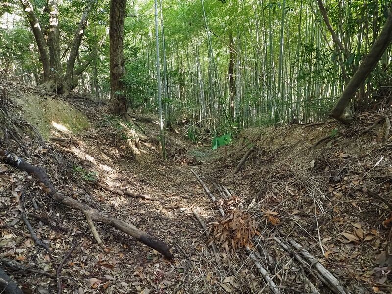 File:Washizufort7.jpg