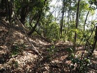 Yamana31.jpg