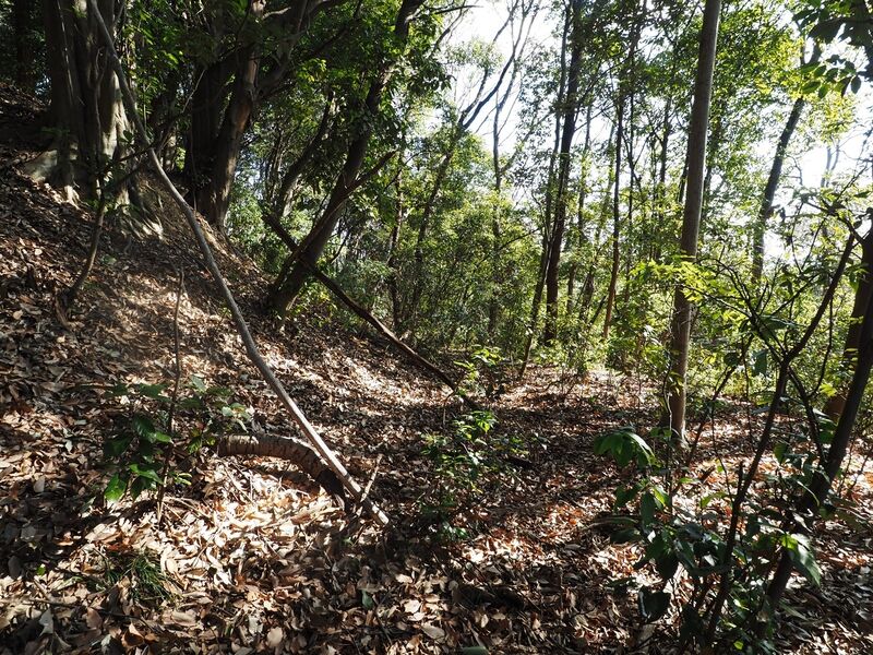 File:Yamana31.jpg