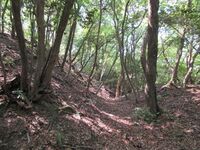 GamouKitanoshoujou (2).JPG