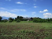GongenYakata04.JPG