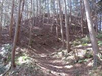 InaAkasujou (14).JPG