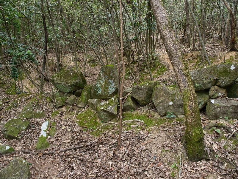 File:Kohyama43.jpg