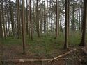 Koideyakatakyoto11.jpg