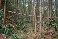 Matsuida32.jpg
