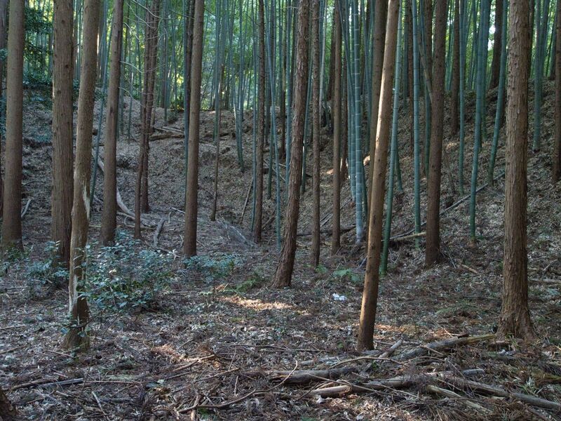 File:Mochizukikoka4.jpg