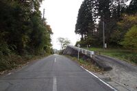 Narisawa10.jpg