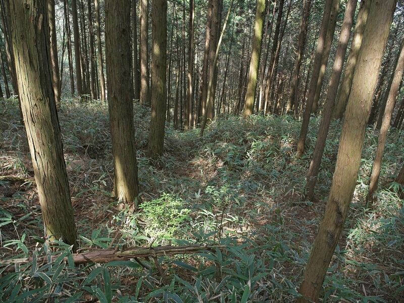 File:Ogawanishinokoka11.jpg