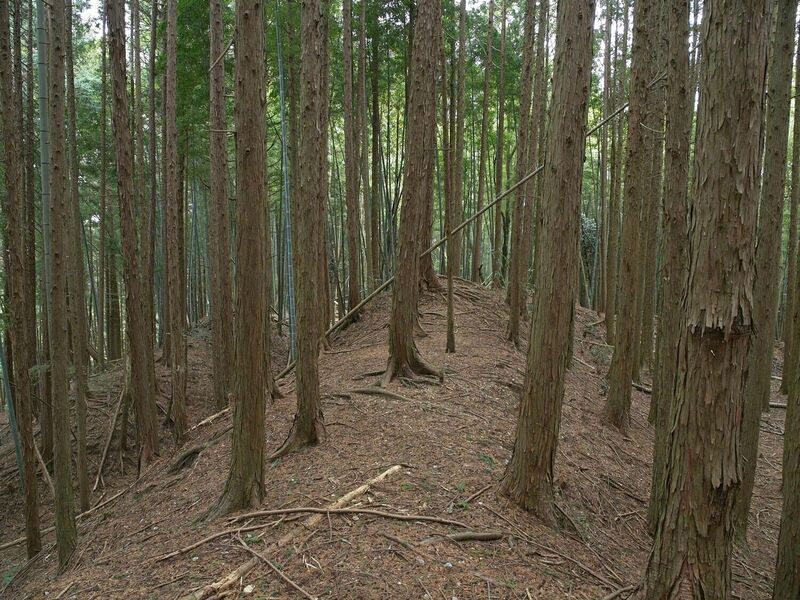 File:Ogawanishinokoka38.jpg