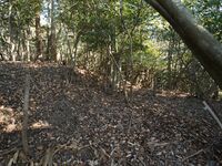 Shogunyama15.jpg